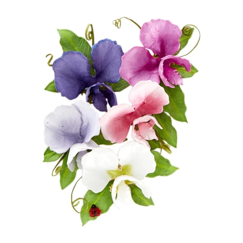 Wykrojnik-spellbinders-sweet-pea-S2-311_1.jpg