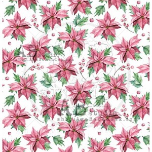 Papier-do-scrapbookingu-stars-arkusz-5a-the-winter-time-30x30_ABstudio.jpg