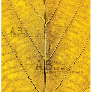 papier-do-scrapbookingu-favorite-moments-arkusz-7b-just-be-30x30_ABstudio.jpg