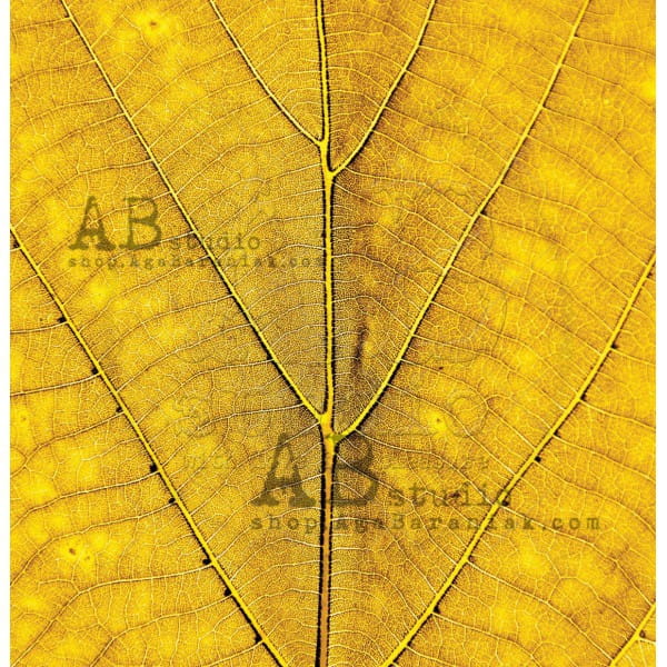 papier-do-scrapbookingu-favorite-moments-arkusz-7b-just-be-30x30_ABstudio.jpg