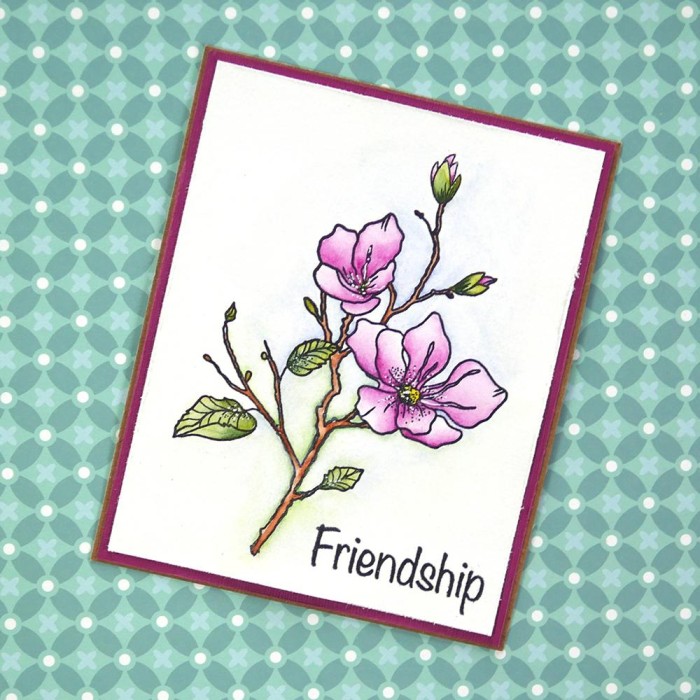Stempel-blossom-CS224_1.jpg
