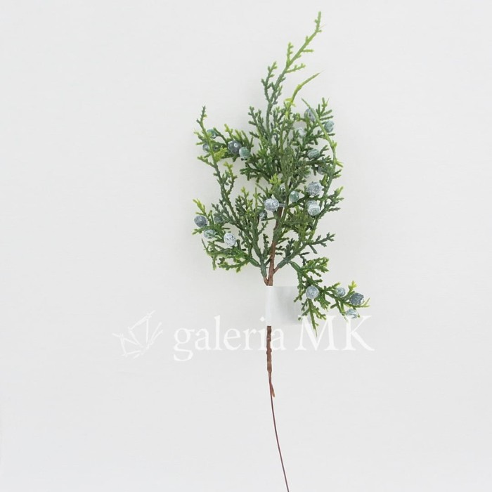 14_www.JPG
