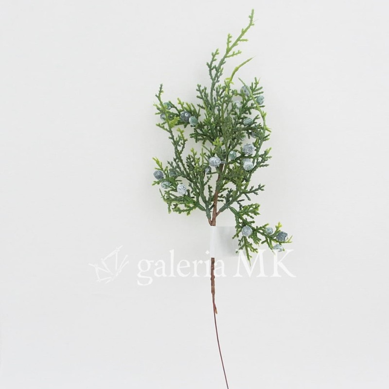 14_www.JPG