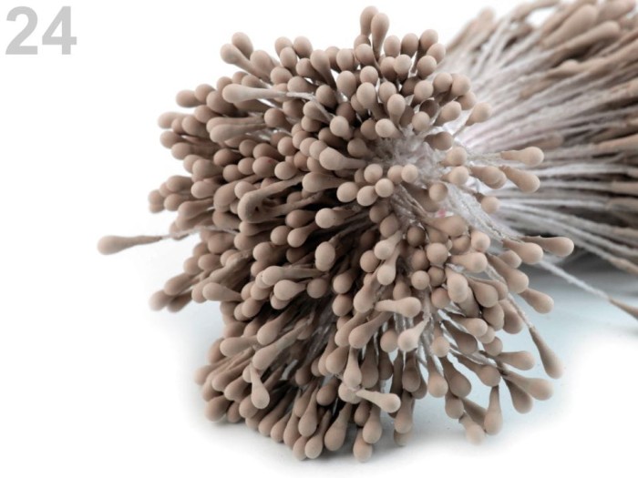 Pręciki jasny brąz duża wiązka ok 450szt.jpg