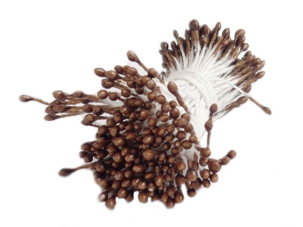 Pręciki do kwiatów brązowe 2mm.jpg