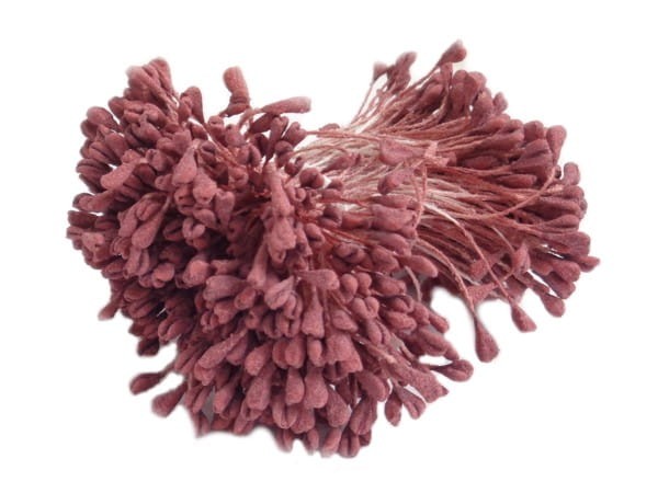 Pręciki do kwiatów matowe serduszka bordowe 1,50x3mm.jpg