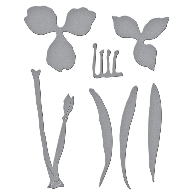 Wykrojnik-spellbinders-amaryllis-S4-1110.jpg