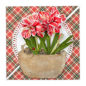 Wykrojnik-spellbinders-amaryllis-S4-1110_4.jpg