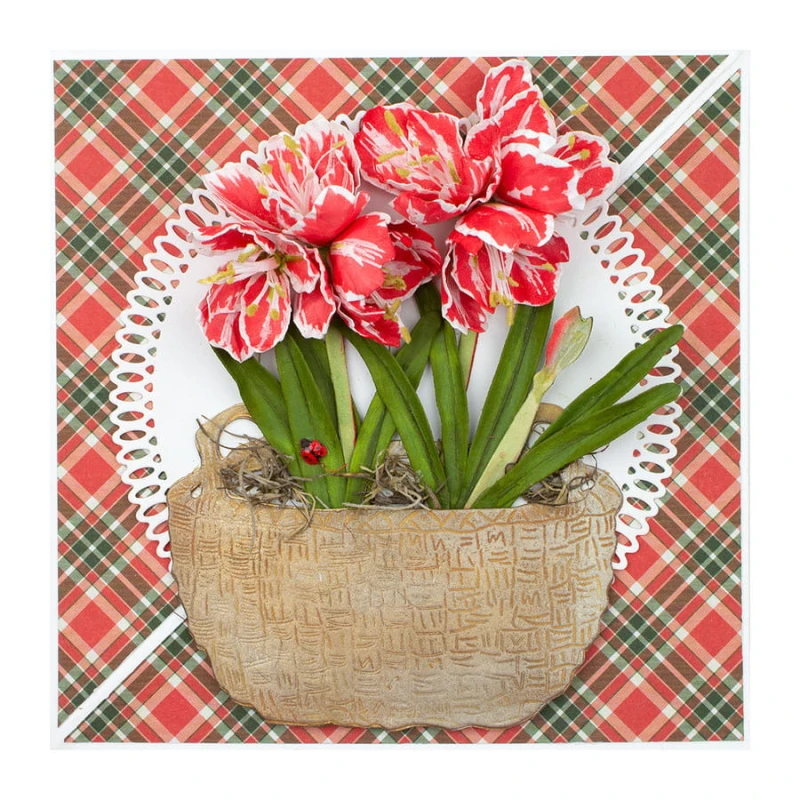 Wykrojnik-spellbinders-amaryllis-S4-1110_4.jpg