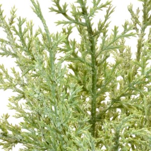 gałazka-tuja-brokat-30cm-green-frost_1.jpg