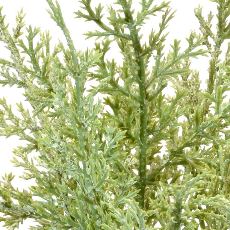 gałazka-tuja-brokat-30cm-green-frost_1.jpg