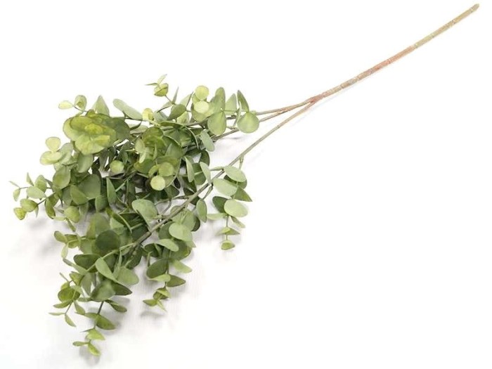 gałazka-eukaliptus-gruby-70cm-powder-green.jpg