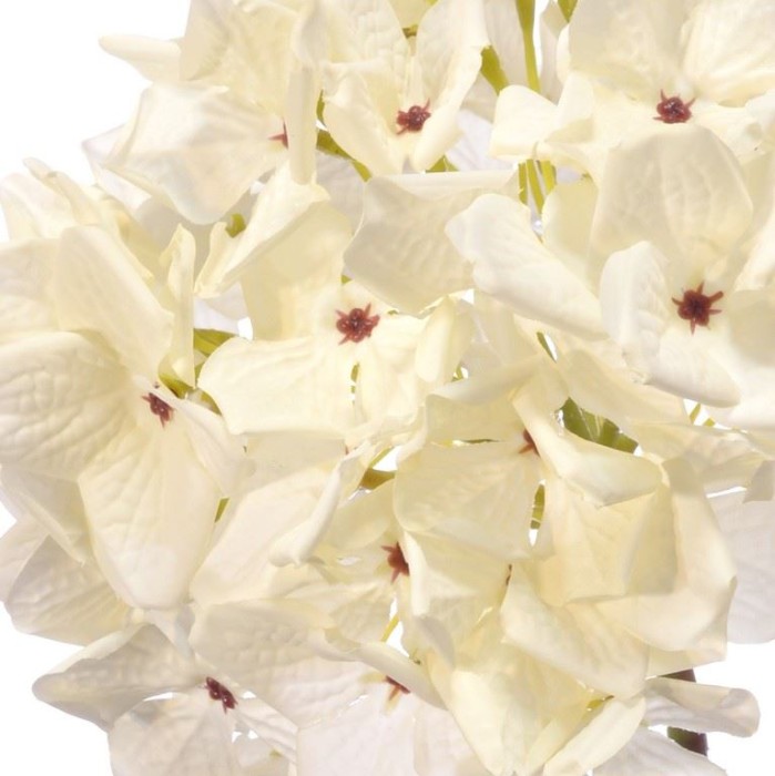 bukiet-hortensja-vintage-57cm-old-cream_1.jpg