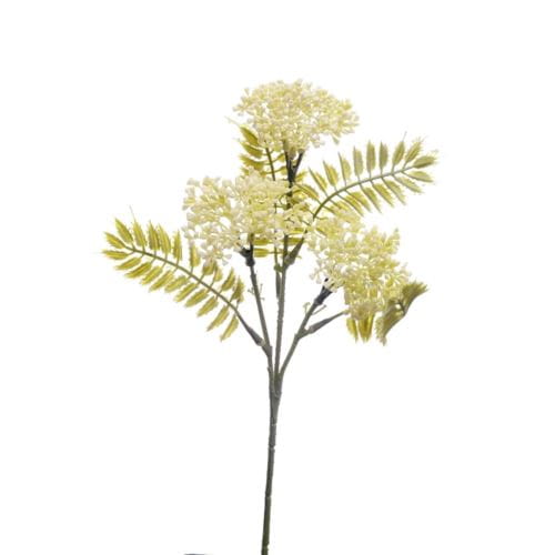 gałazka-koper-45cm-cream.jpg