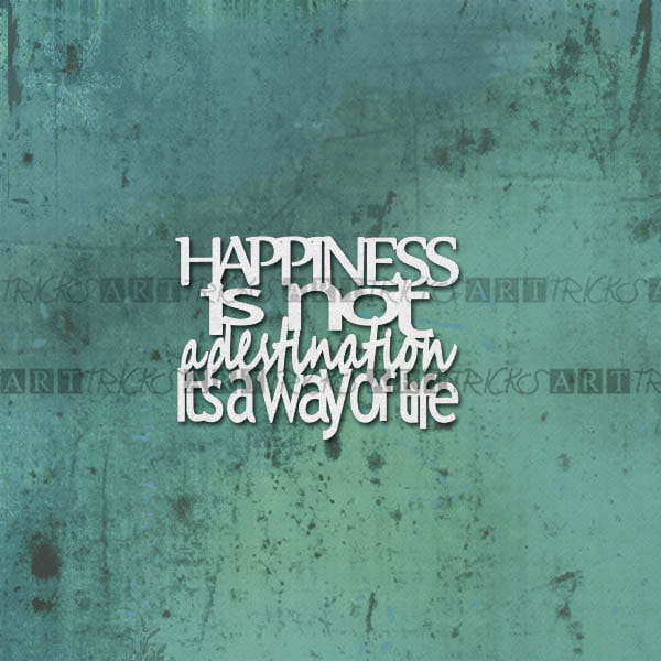 Napis Happyiness.jpg