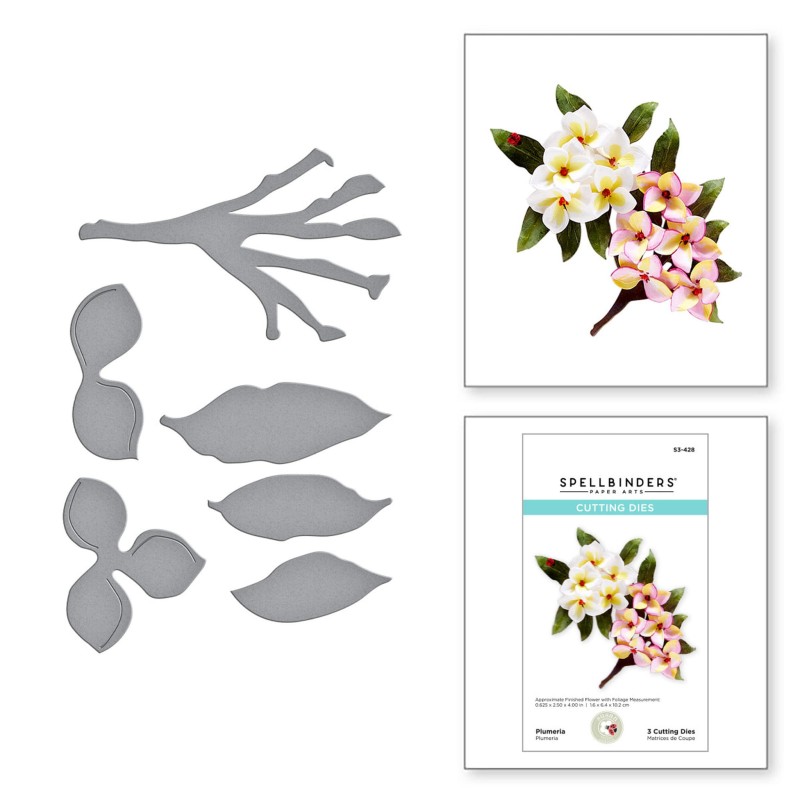 Wykrojnik-spellbinders-plumeria-S3-428_2.jpg