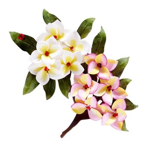 Wykrojnik-spellbinders-plumeria-S3-428_3.jpg