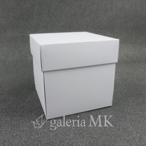 111_www.JPG