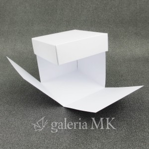 112_www.JPG