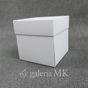 110_www.JPG