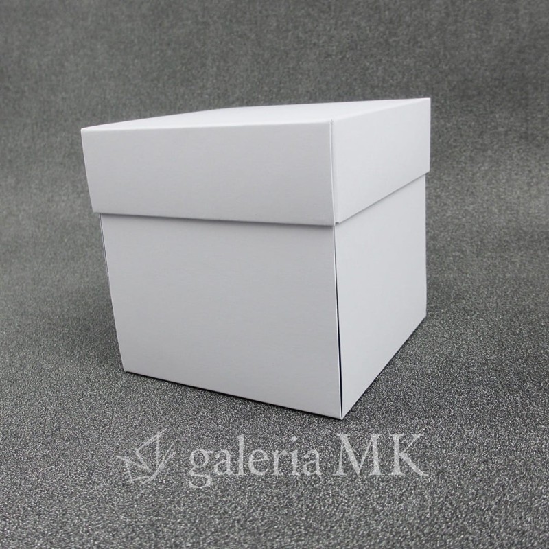 110_www.JPG