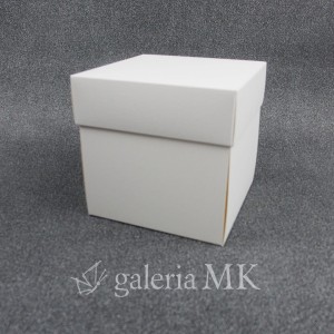119_www.JPG