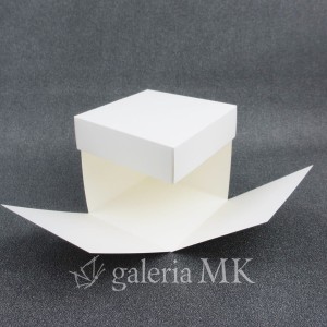 120_www.JPG