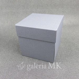 100_www.JPG