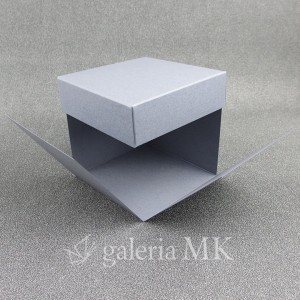 101_www.JPG