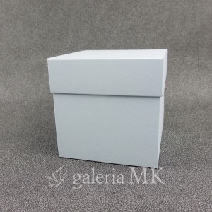 97_www.JPG