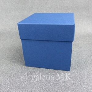 133_www.JPG