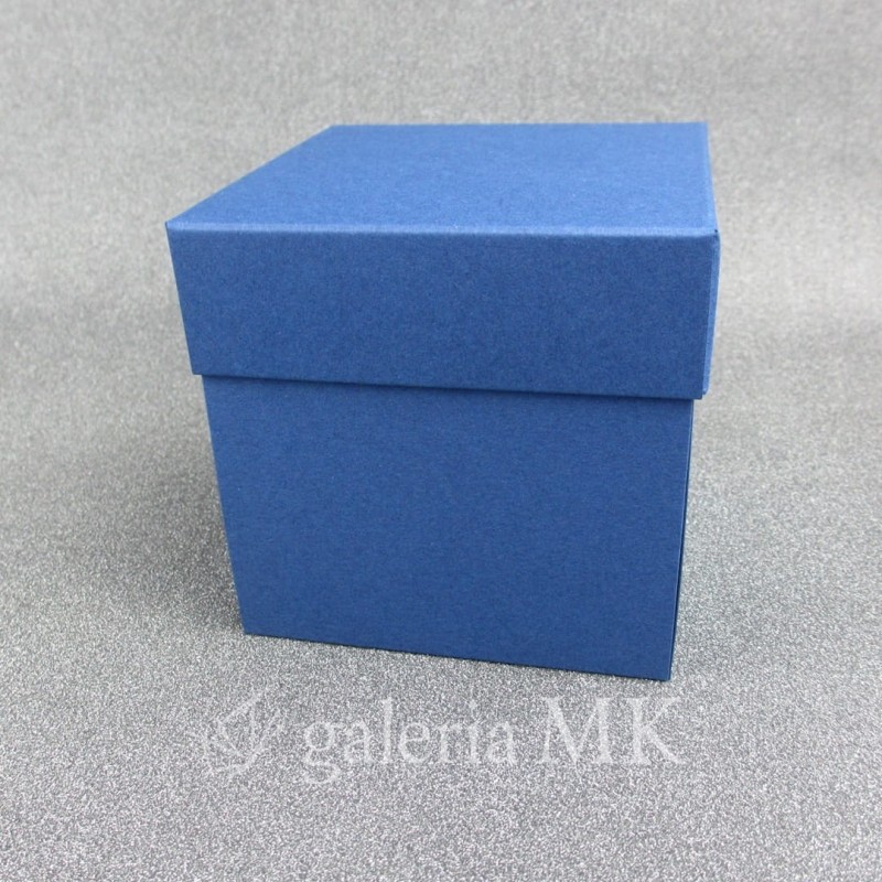 133_www.JPG