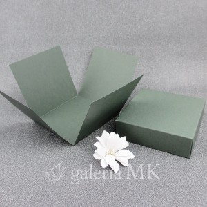 117_www.JPG
