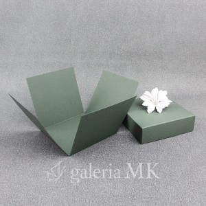 118_www.JPG