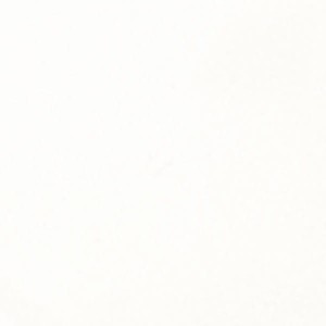 Proszek-do-embosingu-lindys-stamp-gang-wowzers-white-embossing-powder_2.jpg