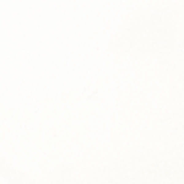 Proszek-do-embosingu-lindys-stamp-gang-wowzers-white-embossing-powder_2.jpg