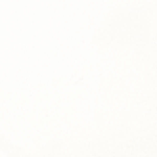 Proszek-do-embosingu-lindys-stamp-gang-wowzers-white-embossing-powder_2.jpg