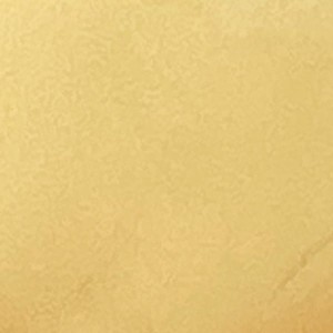 Proszek-do-embossingu-lindys-gimme-five-gold_1 .jpg