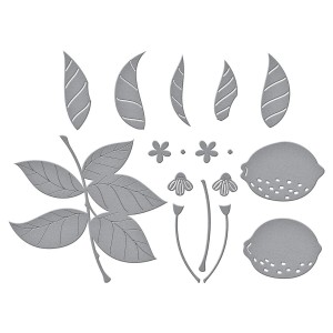 Wykrojnik-spellbinders-lemon-zest-s4-1173.jpg