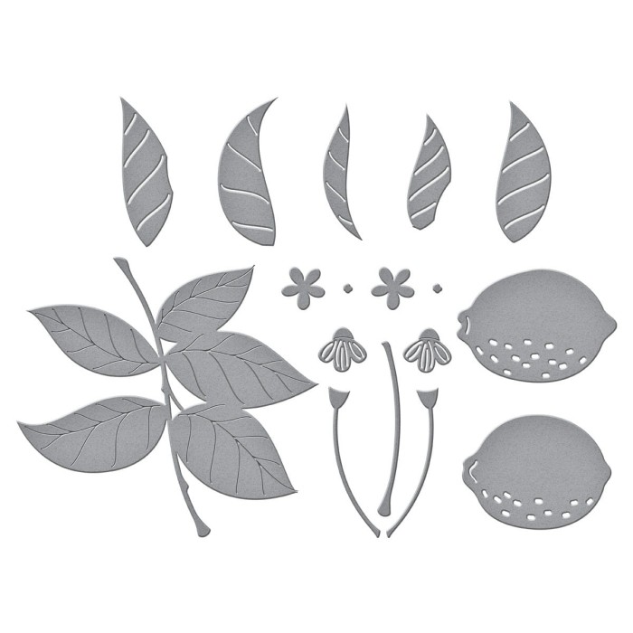 Wykrojnik-spellbinders-lemon-zest-s4-1173.jpg