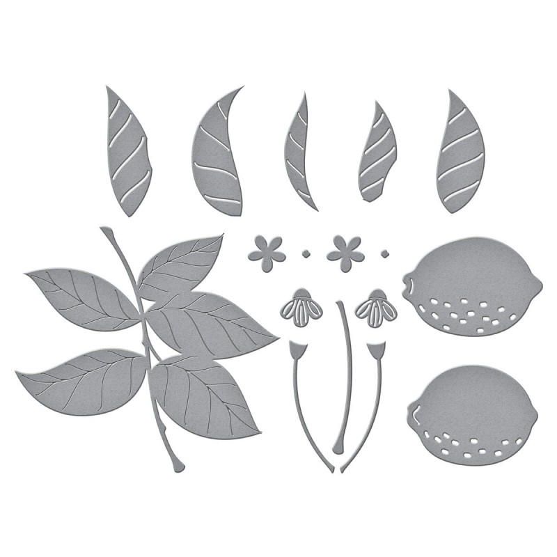Wykrojnik-spellbinders-lemon-zest-s4-1173.jpg