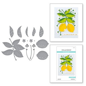 Wykrojnik-spellbinders-lemon-zest-s4-1173_1.jpg