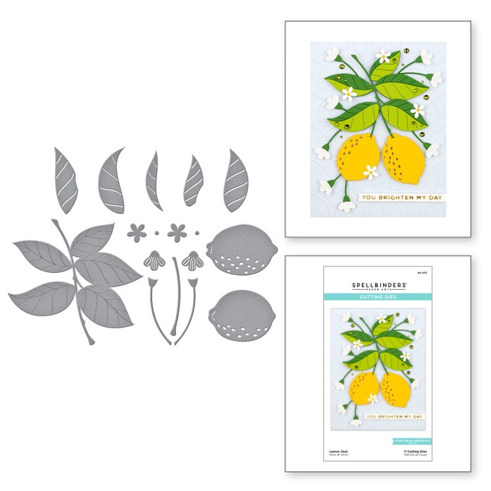 Wykrojnik-spellbinders-lemon-zest-s4-1173_1.jpg