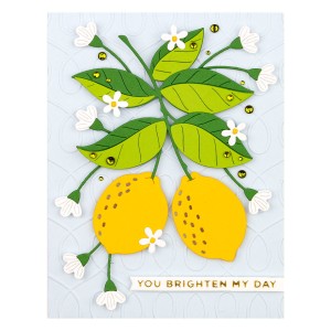 Wykrojnik-spellbinders-lemon-zest-s4-1173_3.jpg