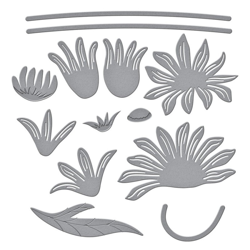 Wykrojnik-spellbinders-Layered-Daisies-S4-1193_1.jpg