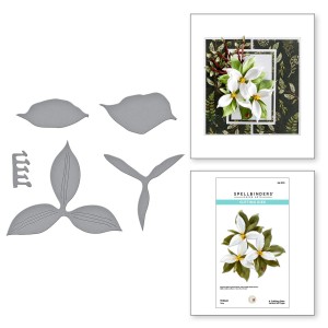 Wykrojnik-spellbinders-Trillium-S4-1178.jpg