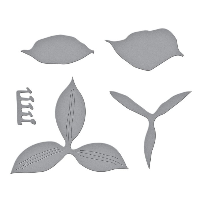 Wykrojnik-spellbinders-Trillium-S4-1178_1.jpg