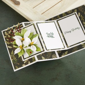 Wykrojnik-spellbinders-Trillium-S4-1178_4.jpg