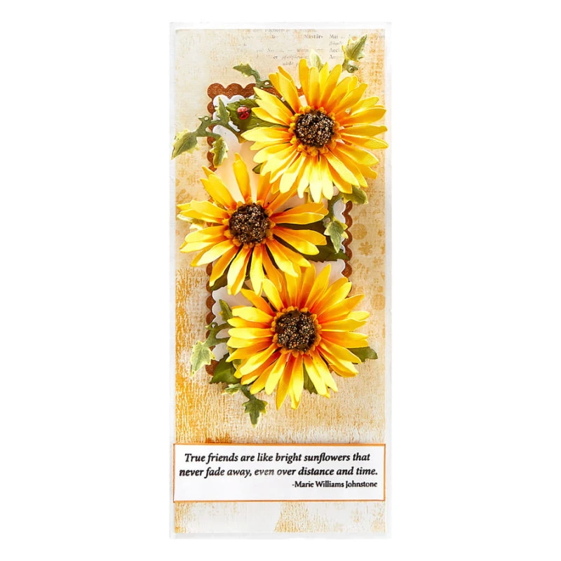 Wykrojnik-spellbinders-Sunflower-and-Ladybugs-S4-1177_2.jpg