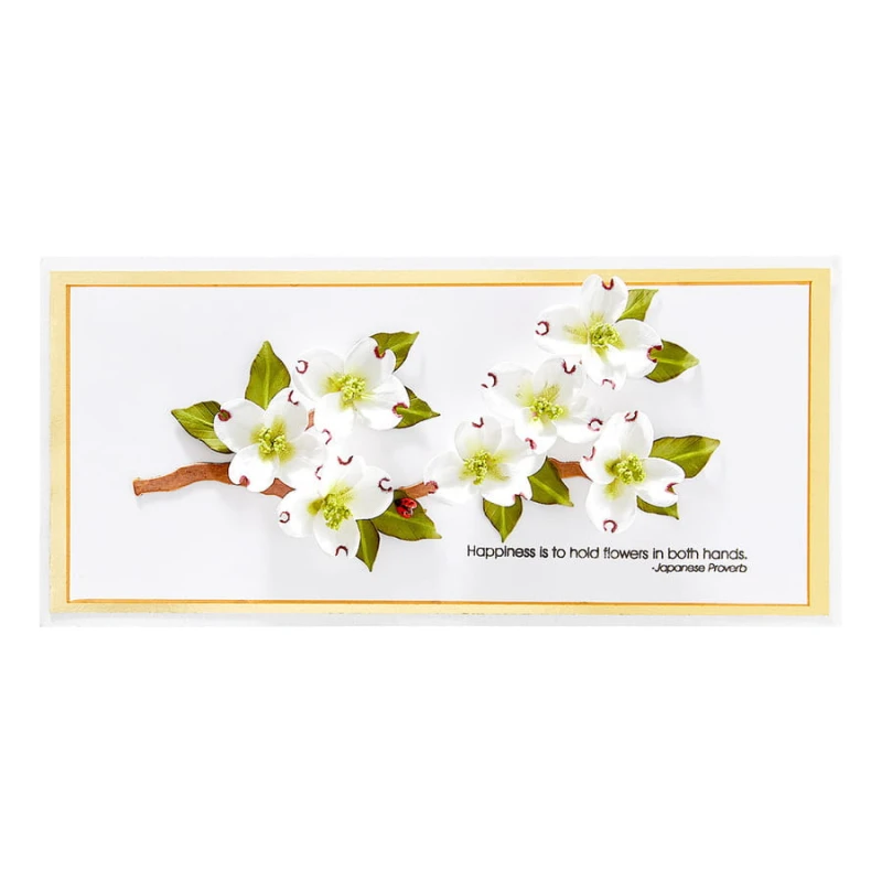 Wykrojnik-spellbinders-Dogwood-S3-435_2.jpg